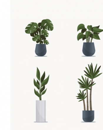 כדים – השילוב המושלם בין טבע לעיצוב