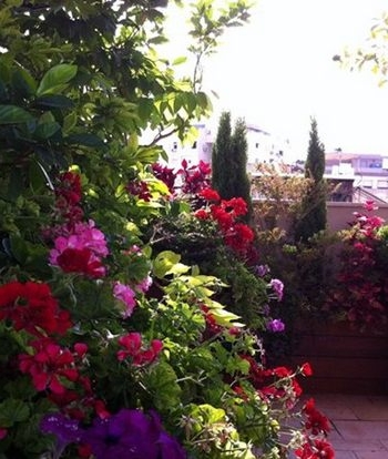 להפוך את המפלט על הגג לקסום