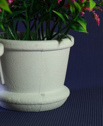 פתרון ירוק ללא התעסקות – צמחים לכדים לכל חלל