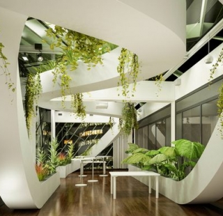 צמחים למשרד