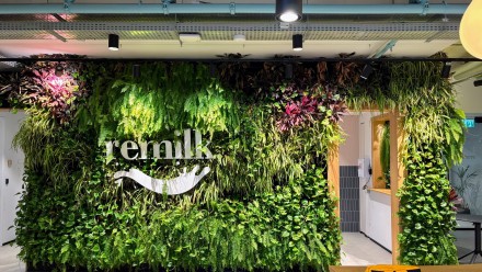 צמחייה מלאכותית למשרד