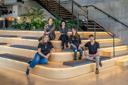 צמחים למשרד