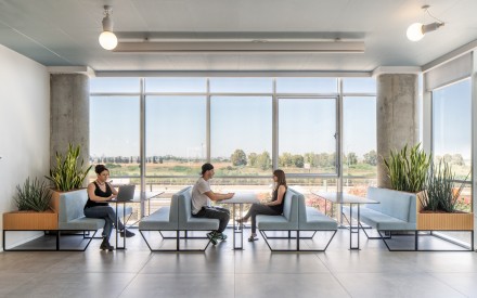 צמחים למשרד