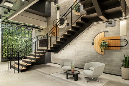 צמחים למשרדים