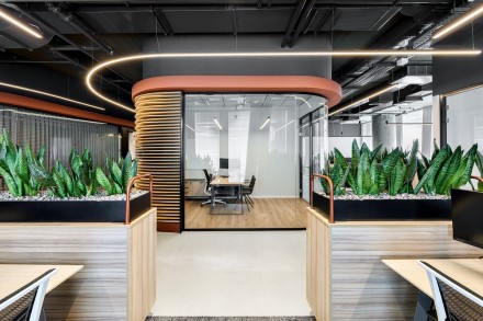 צמחיה למשרד