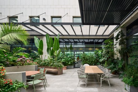 צמחיה מלאכותית למשרד