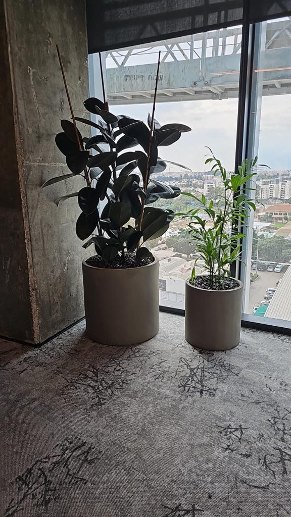 כדים בצבע אפור כהה