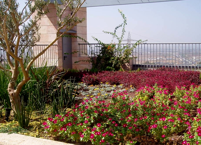 גינת גג