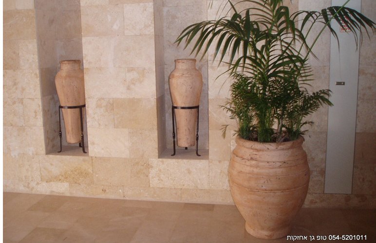 כדים מעוצבים לסלון